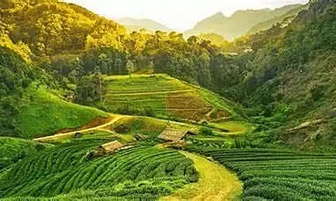Tapping Assam's tourism potential