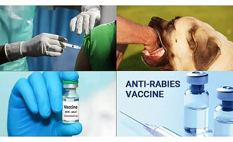 Anti-rabies vaccination drive held in Longding district of  Arunachal Pradesh