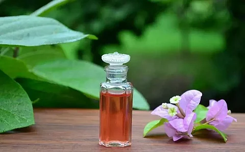 Herbs for radiant and youthful skin