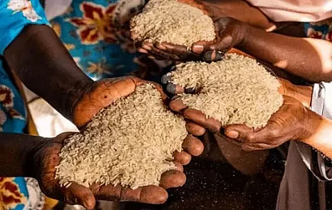 World Food Programme concerned about food crisis in Sri Lanka