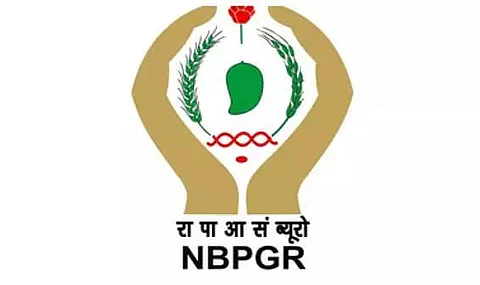 NBPGR Recruitment 2023 - Senior Research Fellow Vacancy, Latest Jobs