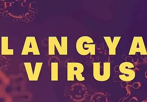 Langya virus in China infects 35, can impair liver & kidneys