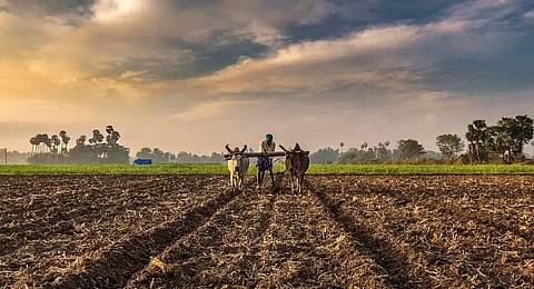 Climate-resilient food production