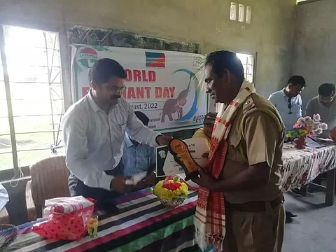 World Elephant day observed across Assam