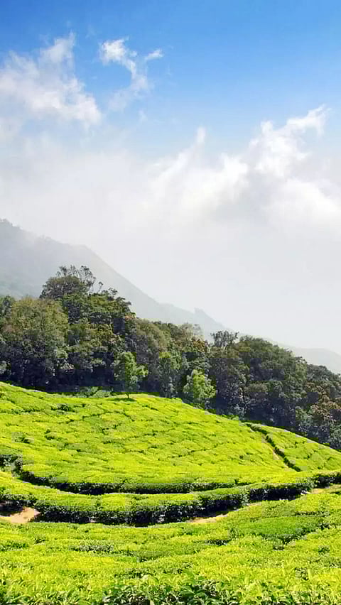 TOP 10 Best Hill in India