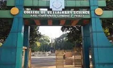 Guwahati: Unidentified Body Found in Khanapara Veterinary College Premises