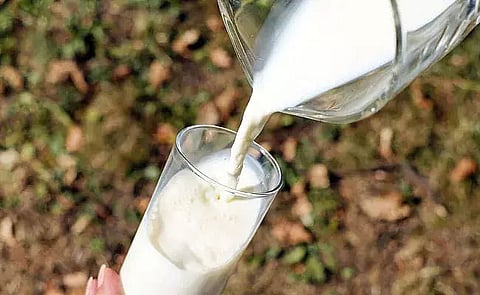 Amul, Mother Dairy To Hike Milk Prices By Rs 2 From Tomorrow