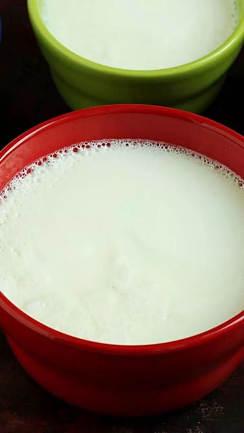 Food To Avoid With Dahi: 5 Worst Food Combinations to Have With Dahi