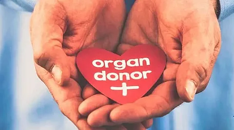 Organ donation awareness