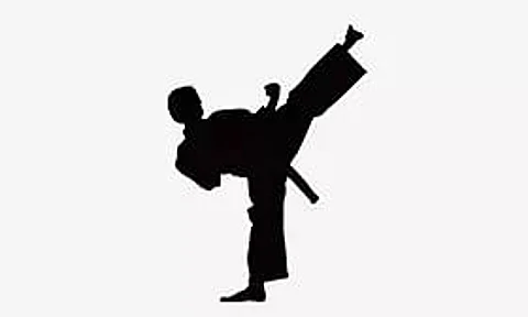 Assam Bag 16 Medals in Taekwondo Meet