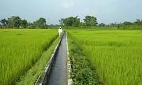 Causes that Ail State Irrigation Schemes