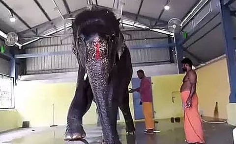 Joymala issue: Gauhati High Court directs Tamil Nadu to allow inspection by Assam team