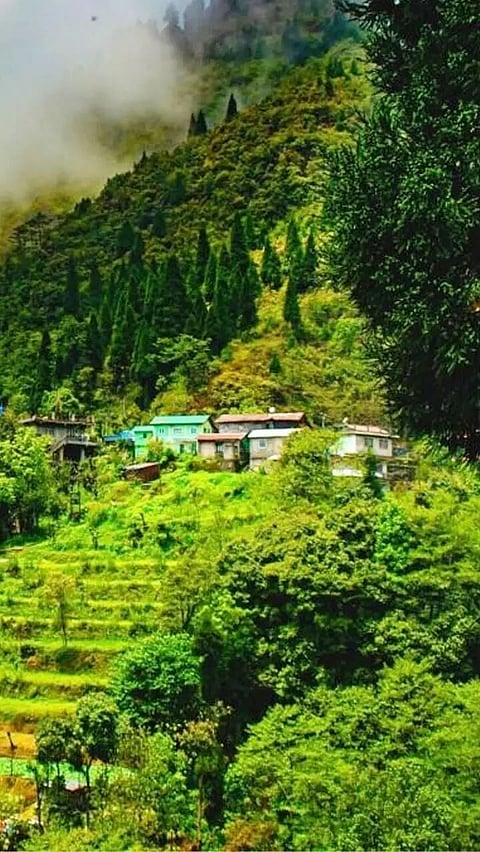 Top 10 Places to visit in Darjeeling