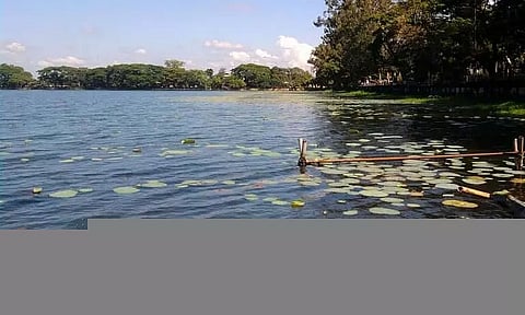 Water Mayhem: Two Minor Sisters Drown in Assam's Darrang, Bodies Recovered