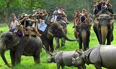 Kaziranga National Park Likely To Reopen By October 15