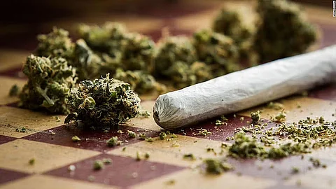 40kg of Cannabis Seized at Kamakhya Railway Station