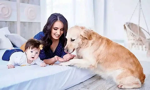PLOS ONE Research suggests dogs can detect stress in humans