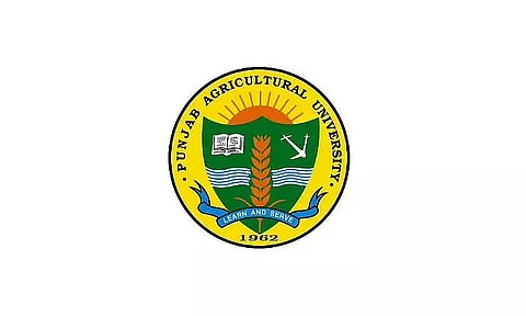 Punjab Agricultural University (PAU) Recruitment 2022 - Research Fellow Vacancy, Job Opening
