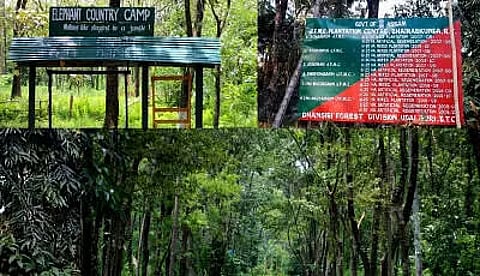 Return of the Native-2: 'Miracle' in the forest pays rich dividends for Udalguri