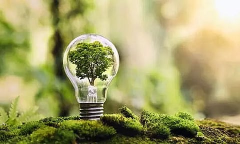 Environmental conservation can begin right at your home