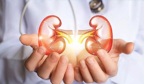 Ultrasound can move, break up kidney stones in awake patients: Study