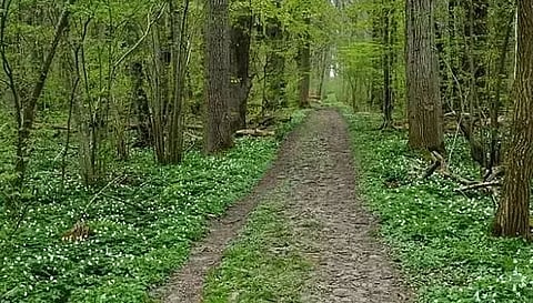 Khasi body opposes wildlife sanctuaries in Barak