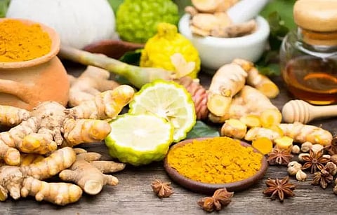 Har Din, Har Ghar Ayurveda: Ayurveda Every Day, Ayurveda Everywhere