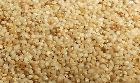 The large mission of small millets in Assam