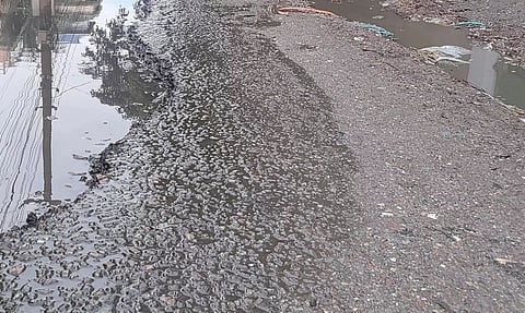 Craters on VIP Road from Pathar Quarry to Six Mile make driving a harrowing experience