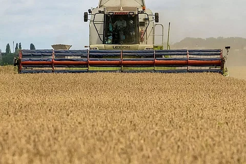 Moscow suspends participation in UN-backed grain deal with Ukraine