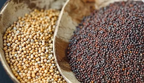 Distribution programme of hybrid seeds held at Mazgaon Training Center, Tezpur