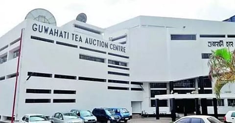 Middle East importer buys 12.5 L kg of CTC tea at Guwahati Tea Auction Centre