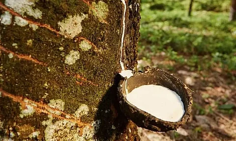 Rubber Board, ATMA (Automotive Tyre Manufacturers' Association) organized round table on 'Development of Natural Rubber in Northeast'