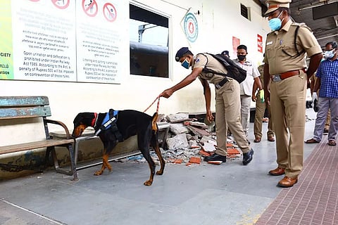 Assam: Canines Aid In Tracking Down Contraband At Guwahati Railway Station