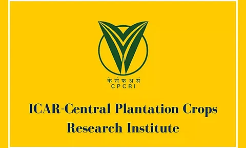 ICAR-CPCRI Guwahati Recruitment 2022 - Young Professional Vacancy, Job Opening