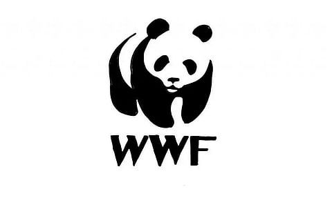 World Wide Fund India Recruitment 2022 – Staff Vacancy, Job Opening