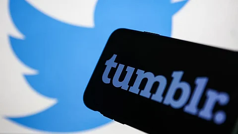 Social media platforms Tumblr, Mastodon see meteoric rise amid shakeup at Twitter