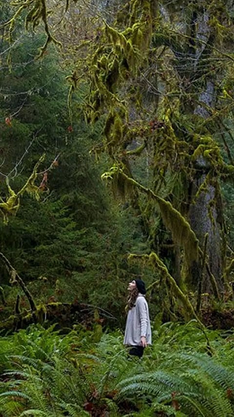 Health Benefits of Going out in Nature