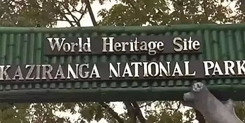 5 one-horned rhinos stray out of Kaziranga National Park