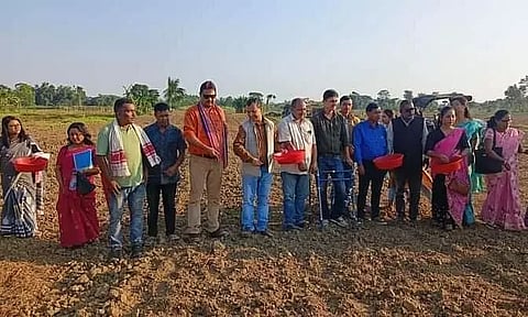 Mustard seed sowing ceremony held in Assam's Golaghat
