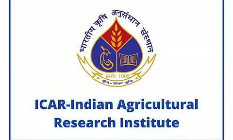 IARI Recruitment 2022 - Young Professional-II Vacancy, Job Opening
