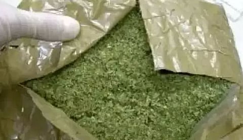 Assam police seized opium worth Rs 1 crore in Karbi Anglong