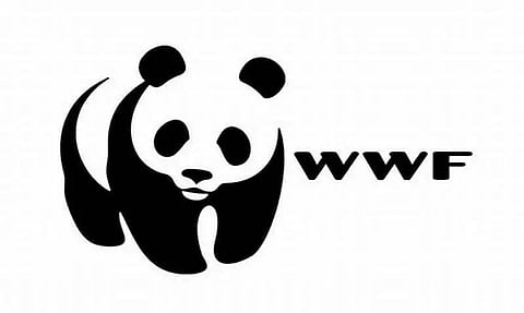 World Wide Fund India Recruitment 2022 – Senior Specialist Vacancy, Job Opening