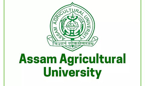 Assam Agricultural University Recruitment 2022 - Young Professional II Vacancy, Job Opening