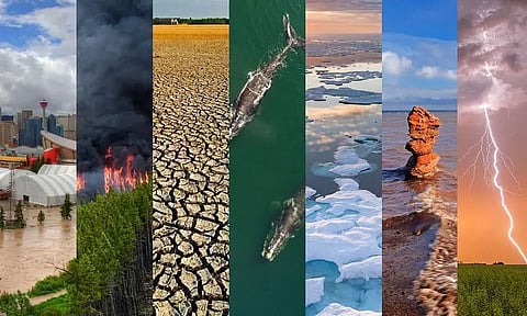 Fighting New Trade Protectionism Tied To Climate Change