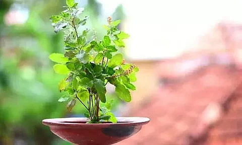 YOGIC VAASTU REMEDIES