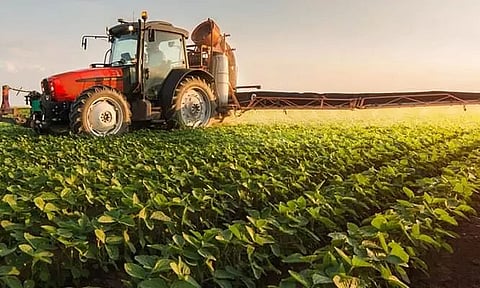 Exports of agricultural products from Northeast jump 85% in 6 years