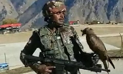 Indian Army's anti-drone Kite may help… falconry