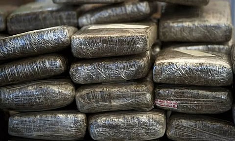 Assam: Drugs Worth Rs 20 Crore Seized In Karimganj