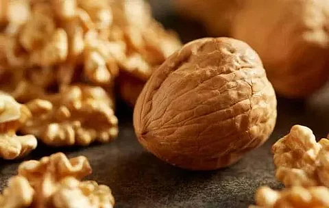 Walnuts are new brain superfood: Study